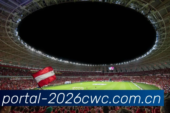 FIFA官方认证