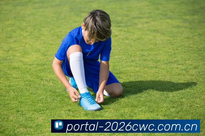 2026世界杯生态布局
